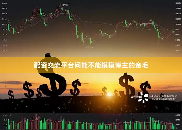 配资交流平台问能不能摸摸博主的金毛