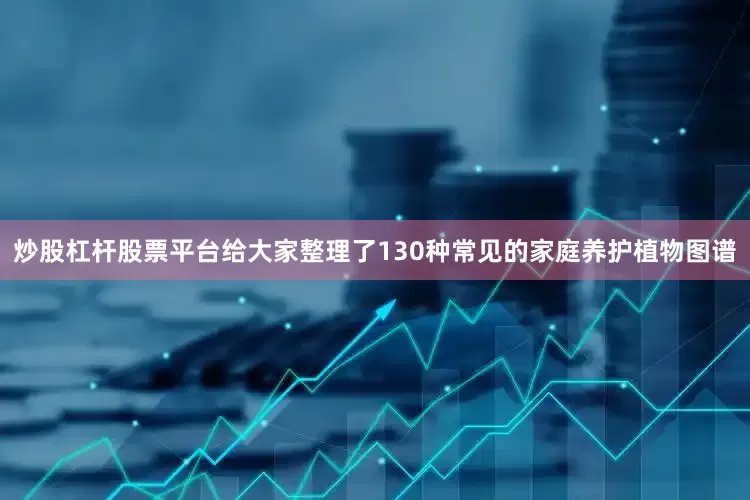 炒股杠杆股票平台给大家整理了130种常见的家庭养护植物图谱
