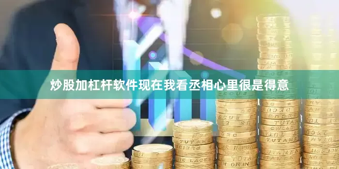 炒股加杠杆软件现在我看丞相心里很是得意